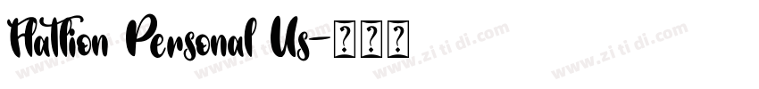 Flatlion Personal Us字体转换 Flatlion Personal Us字体转换